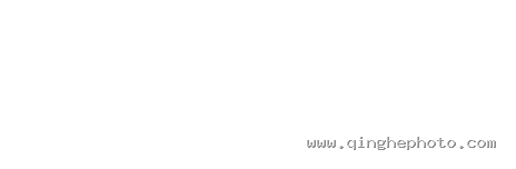 3118云顶集团数码 · AI数智平台